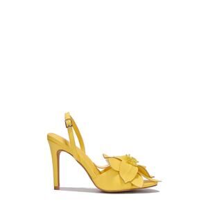 CAPE ROBBIN
BLOOMING - YELLOW